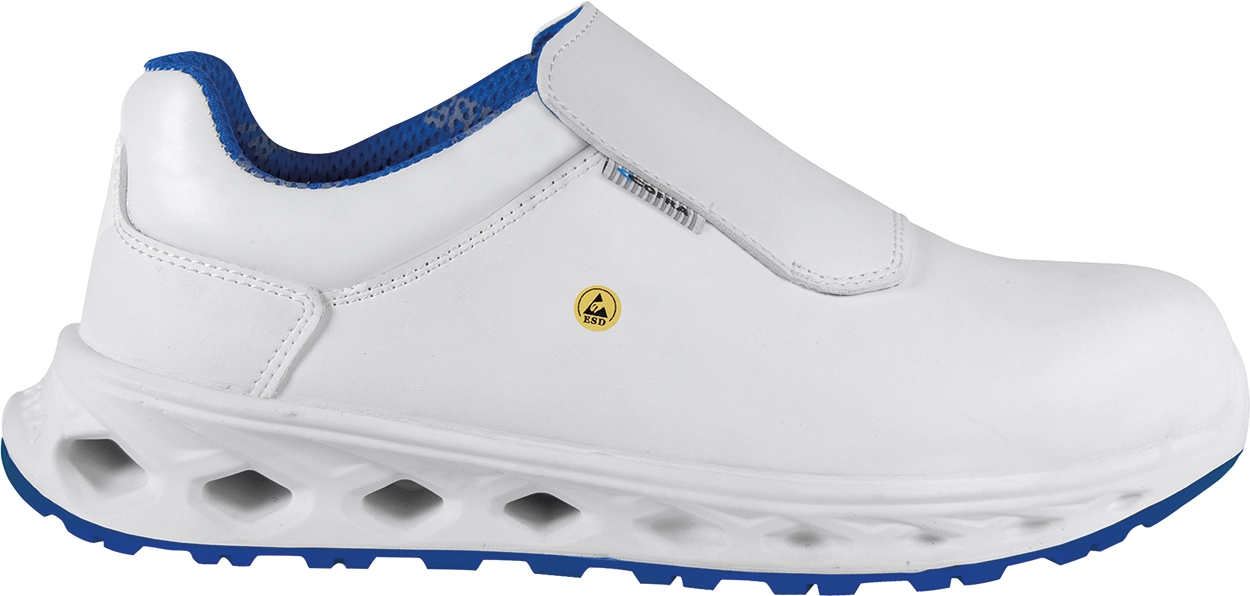 Zoom Image on Mouseover